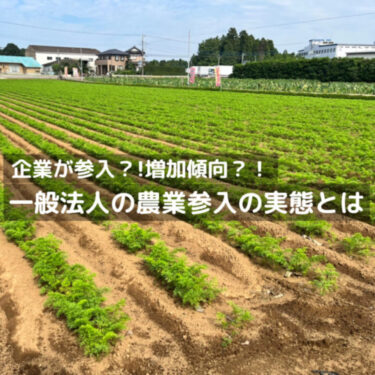 日本の一般法人の農業参入って増加傾向？どうなの？