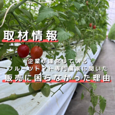 「企業が農業へ参入」たった4年で足らないほどに売れる。栃木県でフルーツトマトを栽培することに決めた理由と販売戦略とは？