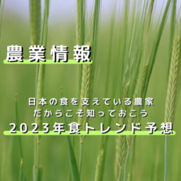 日本の食を支えてる農家だからこそ知っておこう　2022年食トレンドと2023年食トレンド予想